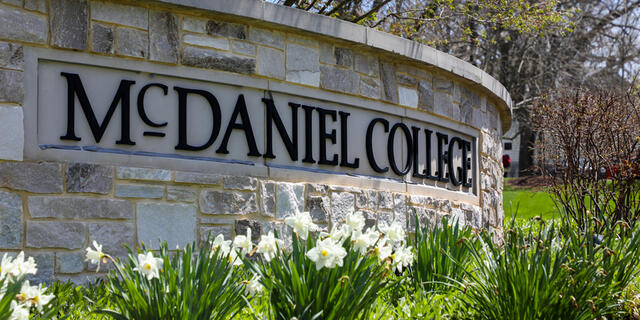 Mcdaniel blackboard on sale